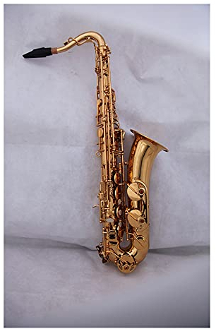C Melody Saxophon Woodwind Sax Gold Lack Mit Gehäuse Und Mundstück Schlüssel Typ Holzbläser Instrument
