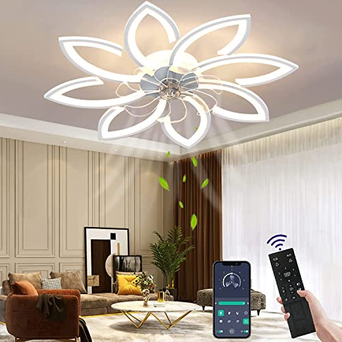 WildCat LED-Deckenventilator mit Licht – leise, fernbedienbar, dimmbar | Dimmbares LED, 6 Stufen Wind, reversibler Motor, Fernbedienung, leise für Schlafzimmer