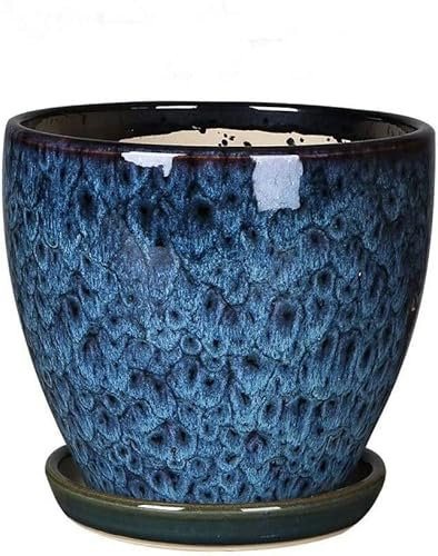 Maceta grande de interior con bandeja dividida con orificio de drenaje para suculentas y bonsái, maceta redonda para escritorios, color azul pavo real