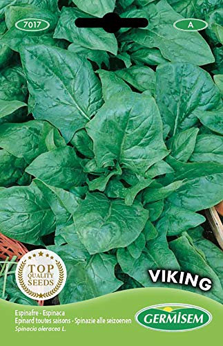 Germisem Viking Semi di Spinaci 15 g