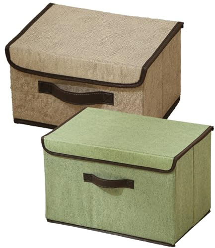 Scatola portaoggetti con coperchio, contenitore con manici, set da 2 pezzi, 27 x 20 x 16 cm, organizer per cassette con coperchio, scatole per l'organizzazione di armadi, vestiti (colore misto)