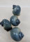 4x Blue Mystery Snail, Live Algae Eater for Tropical Aquarium, 3-4cm, Pomacea bridgesii