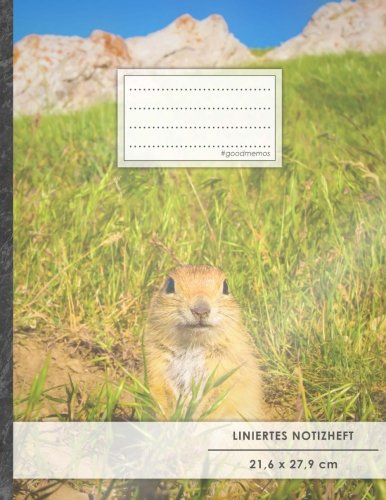 Liniertes Notizbuch • A4-Format, 100+ Seiten, Soft Cover, Register, Mit Rand, „Asien Tour“ • Original #GoodMemos Lined Notebook • Perfekt als Deutschheft, Schulheft, Übungsheft, Lineatur 27