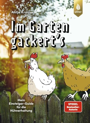 Im Garten gackert's: Mein Einsteiger-Guide für die Hühnerhaltung