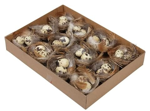 12 STK Wachteleier Nester Vogelnest mit Wachteleier Natur ausgeblasen Naturdeko Landhaus Osterschmuck Basteln Kindergarten Ostern 7cm Deko Nest Eier Wachteln Dekoeier Osterdeko
