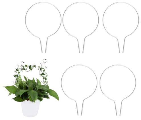 lasuroa 5pz Griglie Tonde in Acrilico per Piante Rampicanti, Piccolo Supporto Piante Accessori per Esterno Interno Pothos Monstera Hoya