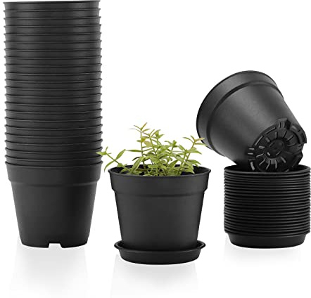 10cm Small Plant Pots, 24 Pack Plastic Herb Pot with Drainage Hole and Tray | Seed Seedling Pots Flower Nursery Pots for Vegetables, Flowers, Cactus, Cuttings, Succulent, Black