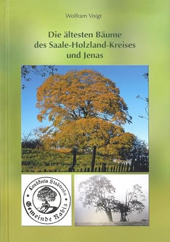 Die ältesten Bäume des Saale-Holzland-Kreises und Jenas