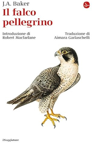 Il Saggiatore