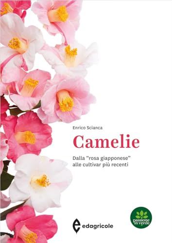Camelie. Dalla «rosa giapponese» alle cultivar più recenti. Ediz. a colori