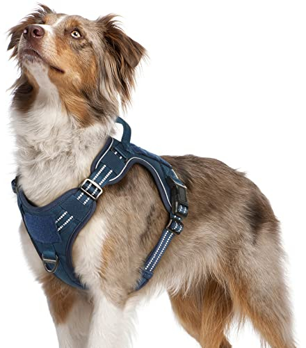 rabbitgoo Hundegeschirr mittelgroße Hunde, Anti Zug Geschirr Hund Verstellbar mit Griffe Verbreitert, Robust und Verschleißfest, Taktisches Hundegeschirr mit Metallschnallen zum Wandern(M, Blau)