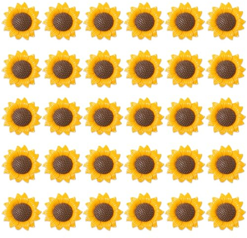 Rebanky 30 Piezas Imanes Nevera Flores Pequeñas Imanes Decorativos Girasol | Magnetica Nevera Flores 3D Imanes Girasol para Neveras Pizarra Cocina y Oficina