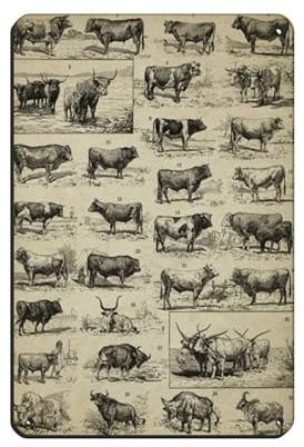 Cartel de metal vintage con diseño de toros antiguos para decoración de pared, bar, bar, decoración de pared, póster retro de 8 x 12 pulgadas (20 x 30 cm)