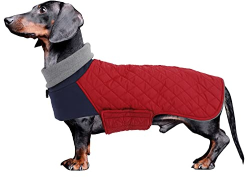 Geyecete- Abrigo Teckel,Chaqueta de Perro de Invierno,Abrigo Impermeable para Teckel Mini,Perro Salchicha Jersey con Agujero arnés,Térmico Pullover para Teckel Miniatura/Teckel estàndard-Rojo-L