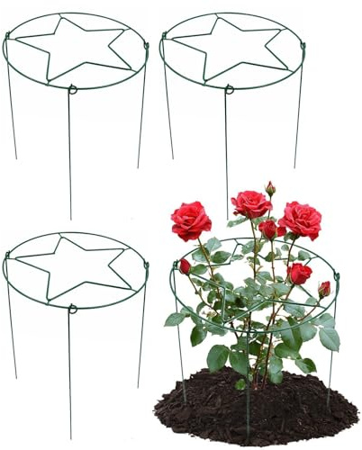 Authentische Pfingstrosenpfähle, 4 Pflanzenstützen, rostfreie Gartenkäfige, wiederverwendbares Blumenstabilisator-System, für Tomaten, Dahlie, Hortensien, Pfingstrosen, Innen- und Außenbereich