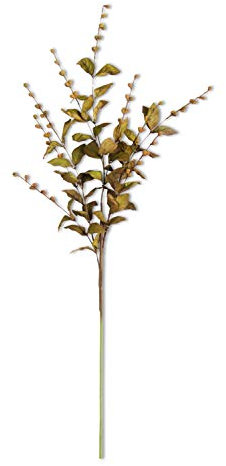 K&K Interiors 16495A-BR 30 Inch Brown European Beech Stem