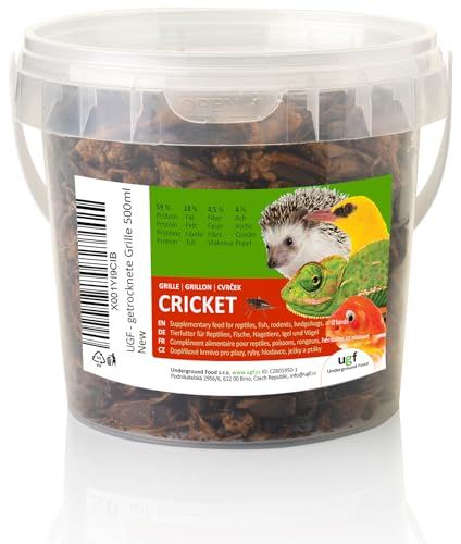 UGF - Getrocknete Grille - 80g im 500 Milliliter Eimer, Grillen Insekten, Vogelfutter Wildvögel Ganzjährig, Schildkröten Futter, Igelfutter, Eidechsenfutter, Fischfutter