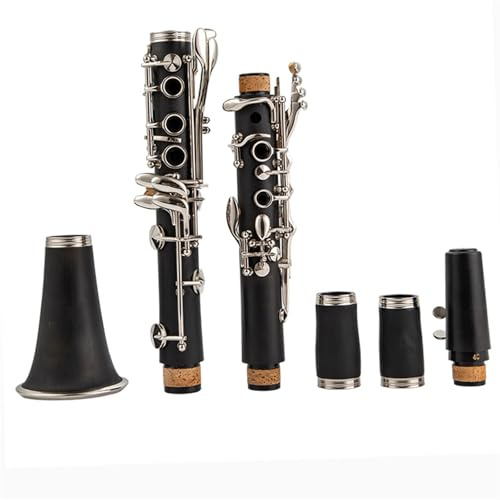 Klarinette Professionelles Klarinetteninstrument In B-Dur, Geeignet Für Anfänger Für Spielen In B-Dur Zur Prüfung