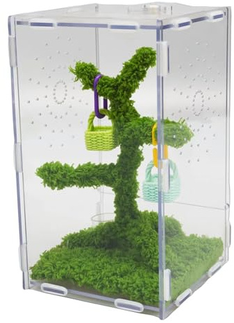 Jinymral Springspinnen Acryl Terrarium Set, Zubehör mit Fütterungszange & Dekoration – 22x13x12 cm, belüftet, für Spinnen, Reptilien & kleine baumbewohnende Haustiere
