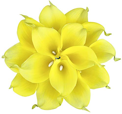 HUAHUASHIJIE 15 pezzi reale tocco Calla fiori artificiali, bouquet da sposa decorazione per la casa festa (giallo limone)