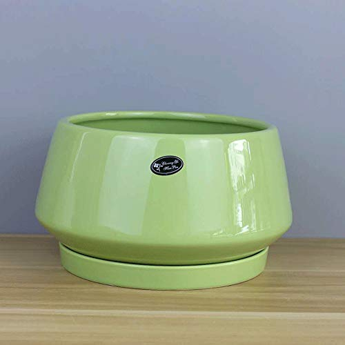 5 Farben Großer Keramik Blumentopf Kreatives Aussehen Blumentopf Fensterbank und Bürotisch Dekoration Pflanzer Hof Utensilien Kaktus Grün Blumentöpfe (Color : Green)