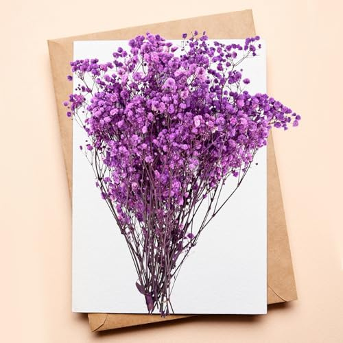 Fleurs de gypsophile séchées, gypsophiles Violettes pour Loisirs créatifs, Scrapbooking, création de Bijoux, décorations Florales