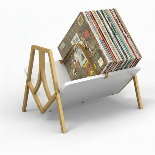 ZEXVIDA Vinyl Record Storage Rack for 50 LPs, Vinyl Record Album Holder Heavy-Duty Record Storage Shelf with Handles, Record Holder, Multi-Purpose Organizer
