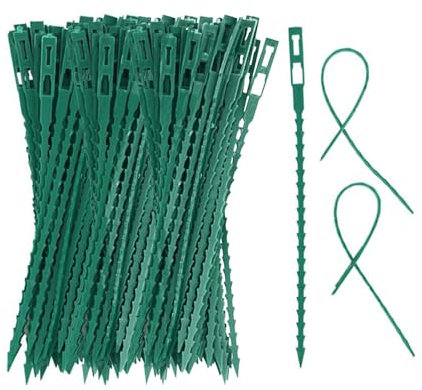 DHSBGWSX Lot de 300 attaches de jardin vertes à chevrons pour plantes grimpantes - Pour plantes à fleurs, arbustes, arbres et plantes grimpantes