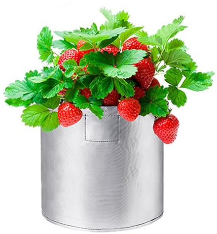 BTAISYDE Sacs de Culture pour Pommes de Terre, Sacs de Culture Épais pour Tomates, Carottes et Autres Légumes,Silver,10gallon