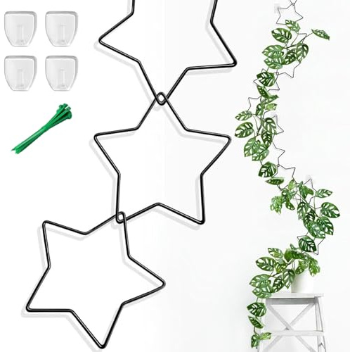Traliccio a catena per piante da arrampicata interno, 20pcs/set a forma di stella da giardino traliccio, supporto per impianti in metallo da 97, 6 pollici con cavi e ganci per monstera, pothos, catena