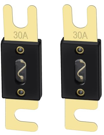 Heschen ANL Fuse ANL-30 Lot de 2 fusibles 30 A pour système audio de voiture Doré et noir