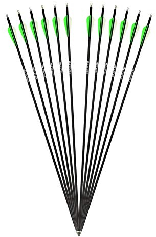 Drake Archery 12 Stück Komplettpfeile Fire Carbon-Hybrid Pfeile für Bogenschießen Bogen Jagdpfeile Erwachsene Carbonpfeile für Recurvebogen (32 Zoll)