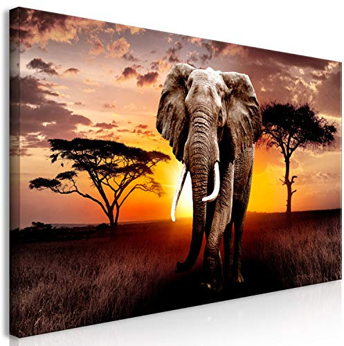 murando Wandbild Mega XXXL Afrika Einteiliger XXL-Format Kunstdruck zur Selbstmontage Leinwandbilder moderne Bilder DIY Wanddekoration Wohnung Deko Landschaft Natur Elefant