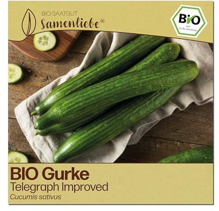 Samenliebe BIO Gurken Samen | englische Telegraph Improved - klassische Salatgurke - glatt & sehr lang - samenfestes BIO Saatgut