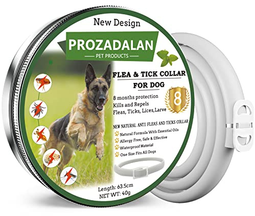 Collare Antipulci e Zecche Regolabile Impermeabile, Antiparassitario per Tutti i Tipi di Cani, 8 Mesi di Efficacia Protezione, 63cm Taglia Unica (1pack)