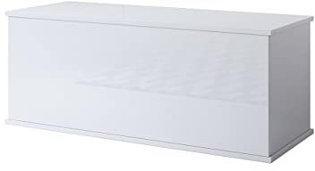 MB Muebles Bonitos, Baule Contenitore Ariel, Melamina Lucida, Bianco, 100x40x40cm