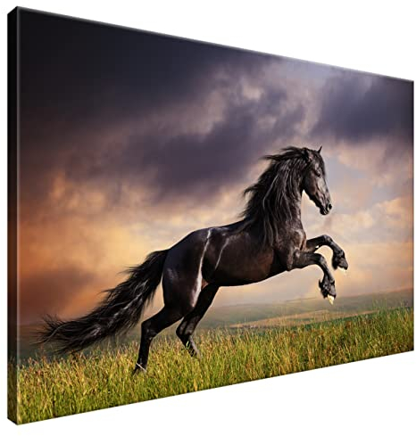Estika Leinwand bilder - Schwarzes Pferd, Wiese - 90x60 cm, 1 teilige kunstdruck - Wandbilder wohnzimmer, schlafzimmer, Moderne wanddeko, Bild auf leinwand - Tiere bilder - 1149A_1L