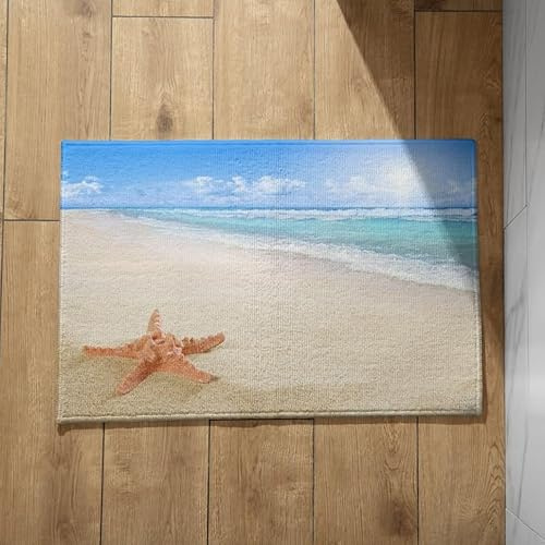 CEVAN Schmutzfangmatte Landhausstil Fussmatten Haustür Lustig Strandmuscheln Fußmatte Haustür Außen Lustige Fussmatten Haustür 50x80cm