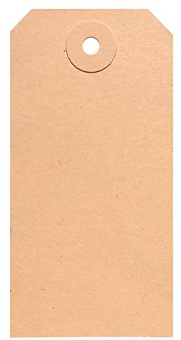 BT-Label 1000 Anhängeschilder 50 x 100 mm mit Loch (verstärkte Kartonöse), als Warenanhänger, Kartonanhänger, Anhängezettel, Papier-Anhänger, Tags, Karton-Etiketten