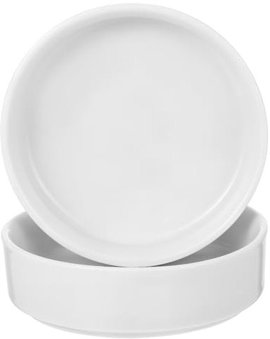 Levemolo 2pcs Ceramic Plant Pots Trays Round Saucers Easy Clean Planter Water Trays Drip for Pots Modern Design for Home Office