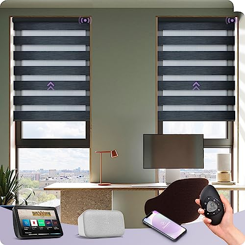 Graywind Elektrische Doppelrollo nach Maß, Wiederaufladbar Smart Duo Rollo Kompatibel mit Alexa Google, Fernbedienung Fensterrollo, Elektrische Jalousien Lichtdurchlässig und Verdunkelnd, Charcoal