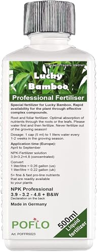 POFLO Engrais pour Lucky bamboo, bambou chinois, bambou de la chance, | gamme complète d'engrais professionnel spéciale HIGH-TECH NPK pour la fertilisation du bambou Dracaena sanderiana (500ml)