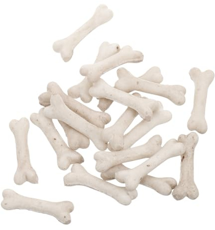 COSMEVIVI Miniatur Knochen Modell 20 Stück Harz Halloween Skelett Deko Für Selbstgemacht Basteln Mikro Landschaft Spukhaus