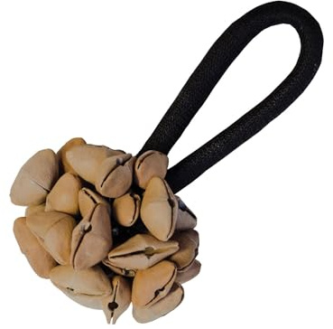 Shaker aus Chacha-Samen Hand Rassel kräftiger durchdringender Klang Percussion Takt Seed Tropen Rhythmus Weltmusik