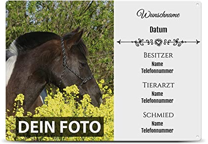 PR Print Royal Personalisiertes Boxenschild selbst gestalten mit Foto, Namen und allen wichtigen Daten - Geschenke für Pferdeliebhaber, Stallschild aus Aluminium | Wetterfest, 21x15 cm, Weiß