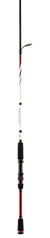 PENN Squadron II Labrax Wolfsbarsch Angelruten