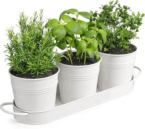MoFarbe Herb Pots for Kitchen & Windowsill | Kitchen Herb Garden | Indoor Herb Planter | Includes Drain Hole | Flower Pots Garden Pots for Basil, Mint, Parsley and More (White)