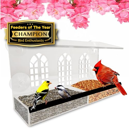 Vogelfutterstation mit starkem Saugnapf – großes transparentes Kolibri-Vogelfutterhaus aus Acryl – zum Befüllen von Erdnüssen, Mehlwürmer-Futtertablett im Haus – Eichhörnchen-Clearance Proof – zum