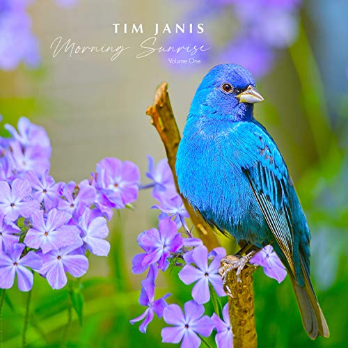 Tim Janis Morning Sunrise Volume One - Relaxing Music Traditional Instrumental Hymns Sounds for Relaxation, Stress Relief, and Meditation - Soothing Piano Calming Music Audio Tim Janis