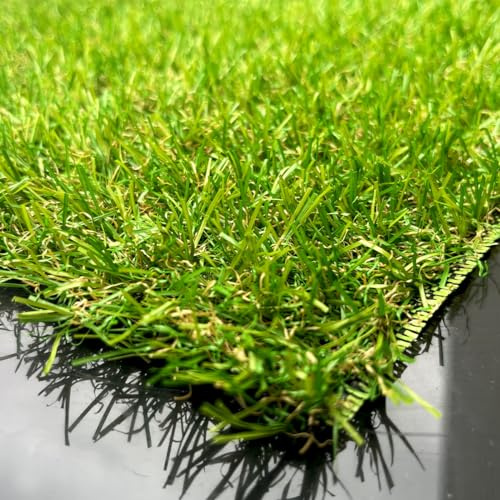 Gazon Synthétique 22mm en 2m de large (2m de large x 3m de long) soit 6M² Économique & Ultra Réaliste